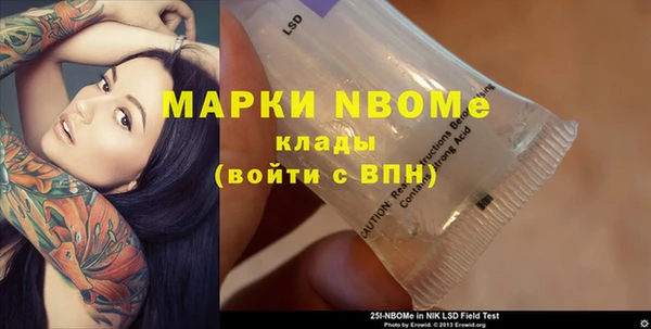 дживик Бородино