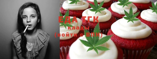 дживик Бородино