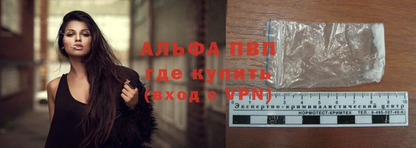 дживик Бородино