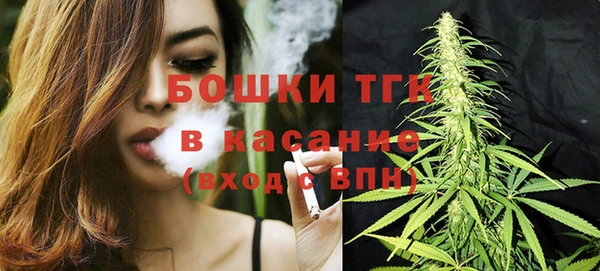 дживик Бородино