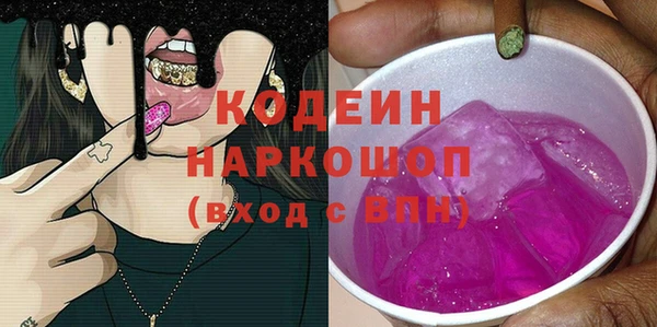 дживик Бородино