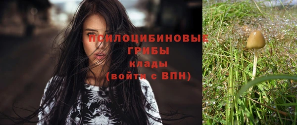 дживик Бородино