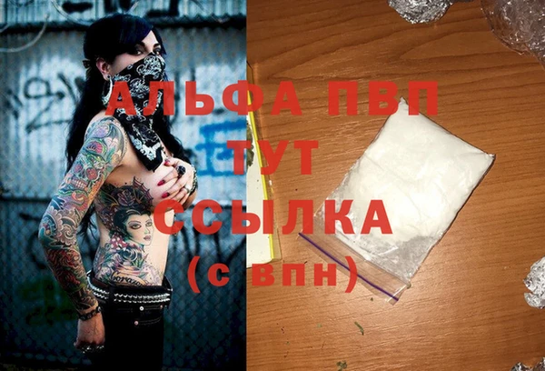 дживик Бородино