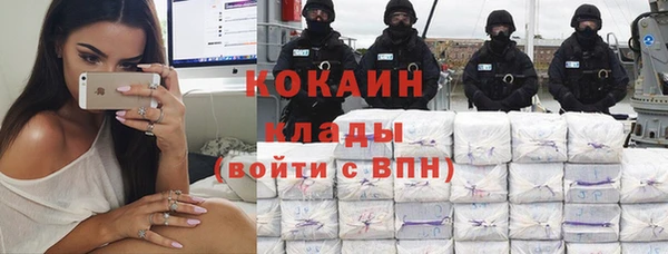 дживик Бородино