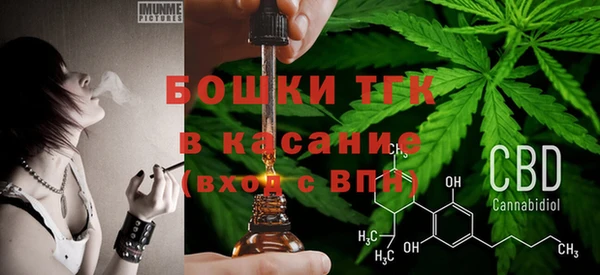 дживик Бородино