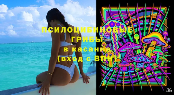 дживик Бородино