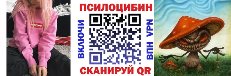 Псилоцибиновые грибы прущие грибы  купить наркотики сайты  Плавск 